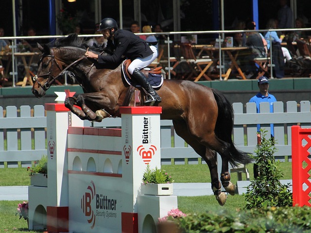 费内巴切的 费内巴切的