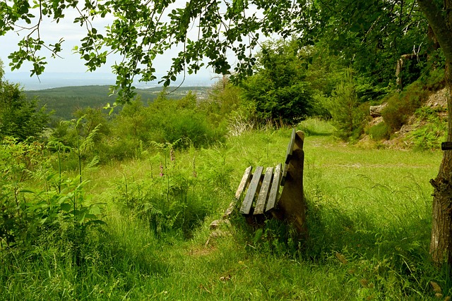 期对其创业 期对其创业