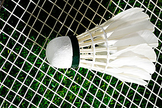 场的深远影 场的深远影